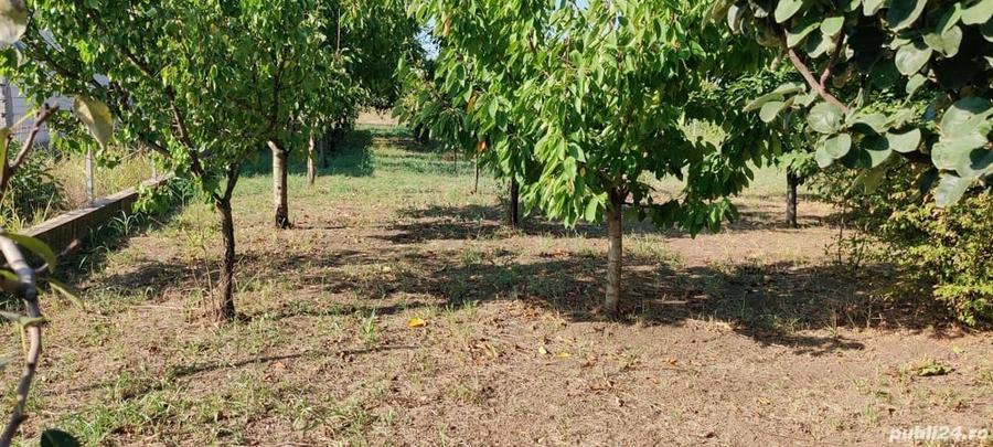Teren de 650 mp, în Central