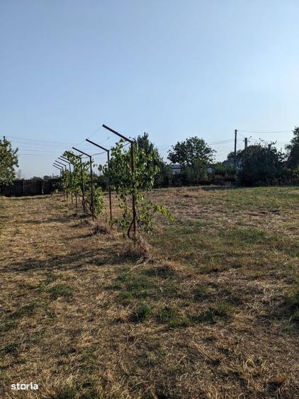 Casă cu 3 camere în Căteasca