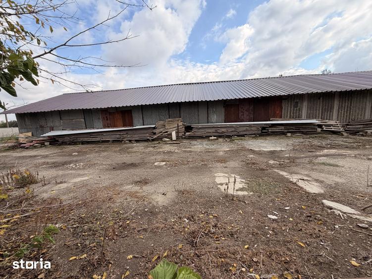 Spațiu comercial, de 48,677 mp, în Crângu