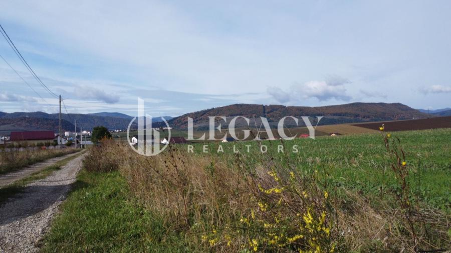 Teren agricol intravilan de 10000 mp, în Gârcina