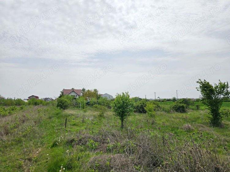 Teren intravilan curti constructii Darza pentru casa duplex 3km pana in Buftea Corbeanca A0 - 9