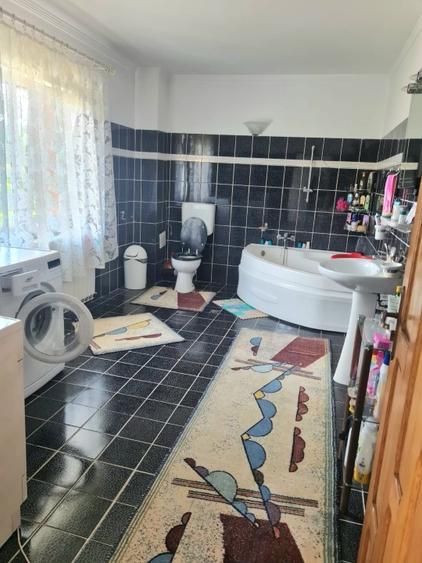 Casă individuală cu 5 camere cu Teren 4500 Mp în Linia (Budești)