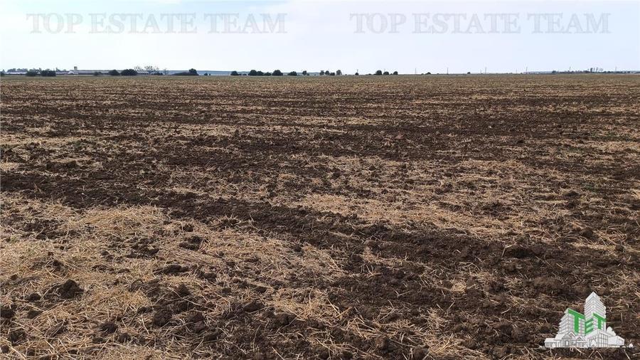 Teren agricol extravilan de 81906 mp, în Petrăchioaia