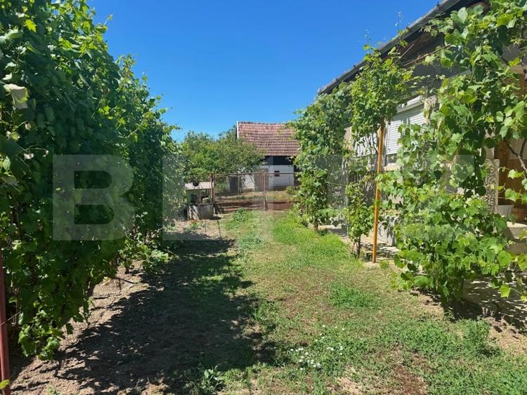 Casă individuală cu 3 camere cu Teren 4348 Mp în Craidorolț