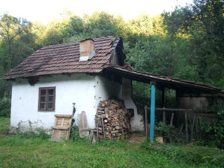 Casă cu 3 camere în Hălmagiu