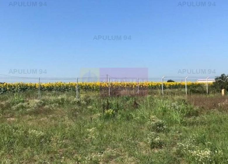 Teren Construcții intravilan de 13853 mp, în Domnești