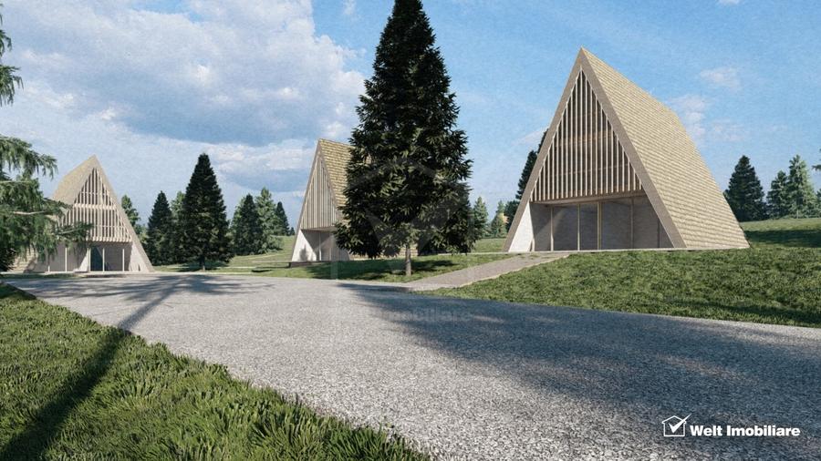 Teren Construcții intravilan de 10814 mp, în Beliș