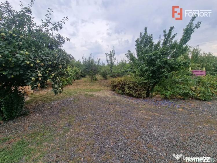Casă cu 7 camere cu Teren 1500 Mp în Bazoș