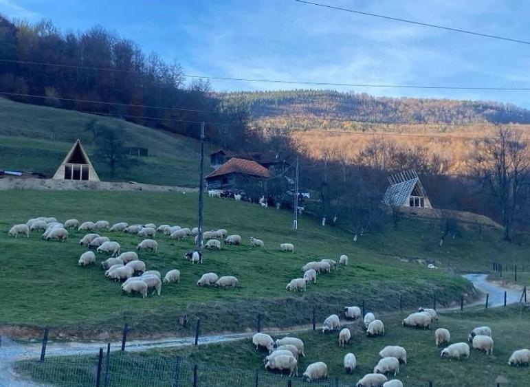 Casă cu Teren 1000 Mp în Remeți