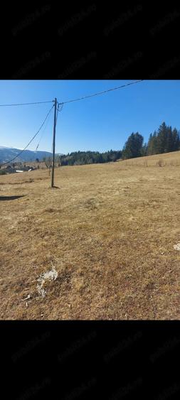 Teren de 7600 mp, în Horea