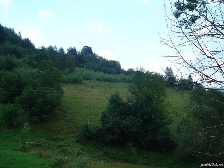 Teren de 25500 mp, în Vișagu