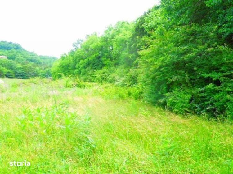 Teren Cabana Ocolis Alba langa rau de munte, 3000 mp, SUPER OFERTA - 1