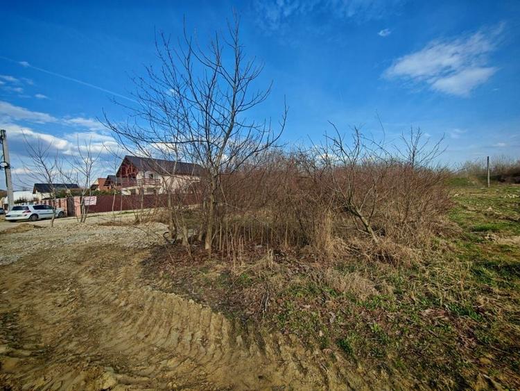 Teren Construcții intravilan de 2273 mp, în Periferie