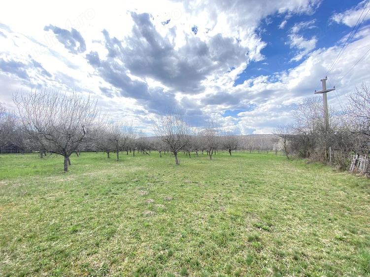 Teren de 7000 mp, în Berevoești