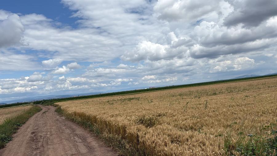 BRASOV,Teren agricol 19.600 mp, 1,96 ha/ Săcele,Front stradal 56 ml,Investiție - 3