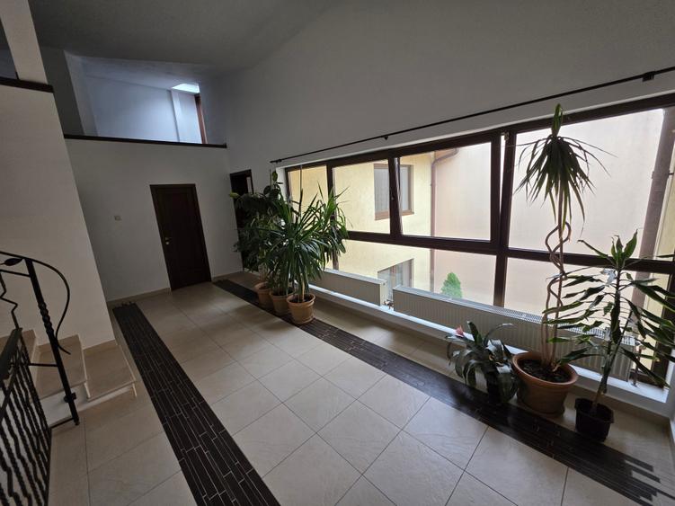 Ion Mihalache, Domenii, str. Virgil Plesoianu, teren 300 mp - 3