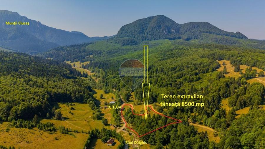Teren agricol extravilan de 8500 mp, în Dălghiu