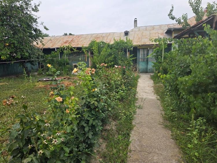 Casă individuală cu 5 camere cu Teren 1772 Mp în Mavrodin