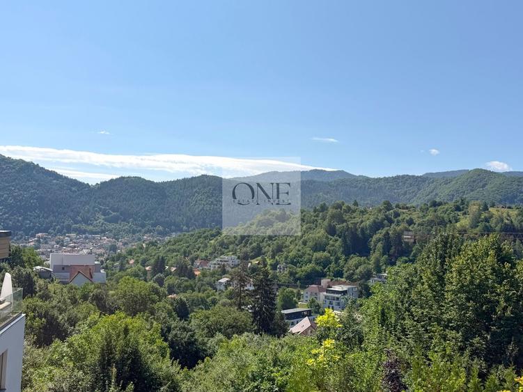 Apartament cu 4 camere decomandat, mobilat în Drumul Poienii