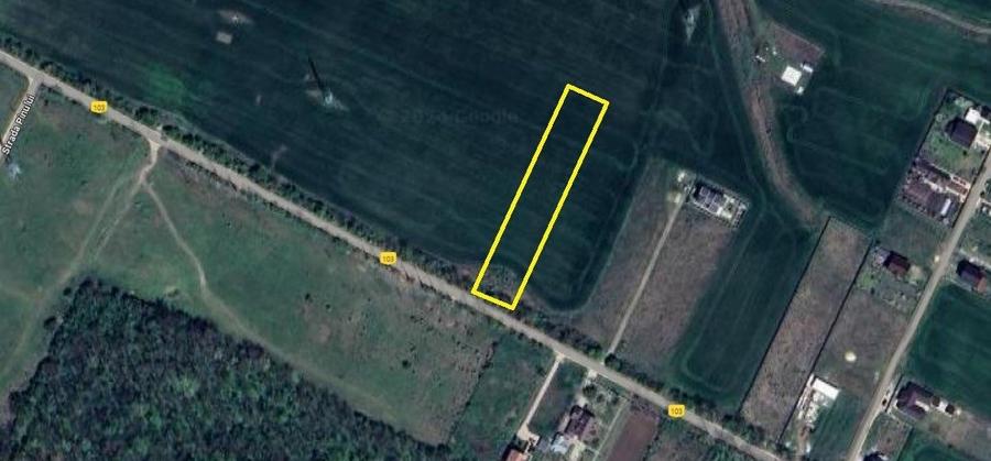 Teren Construcții intravilan de 2500 mp, în Sud