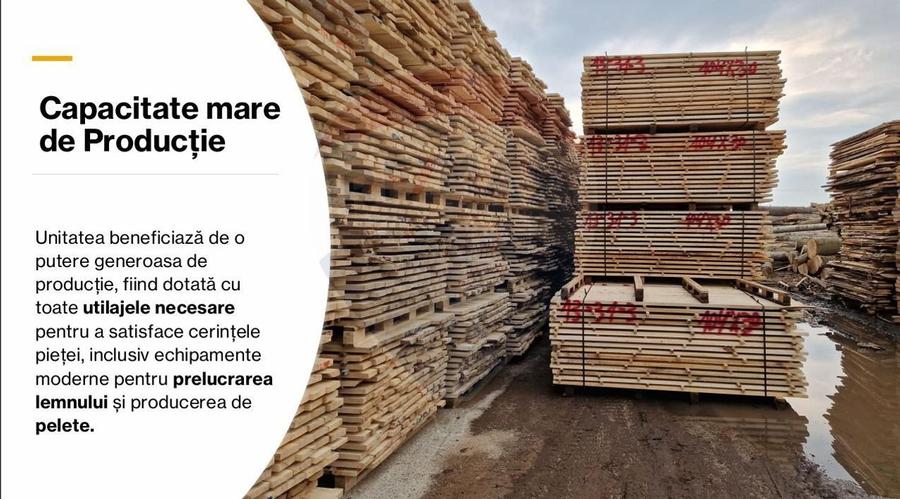 Spațiu industrial, de 7,756 mp, în Cerăt