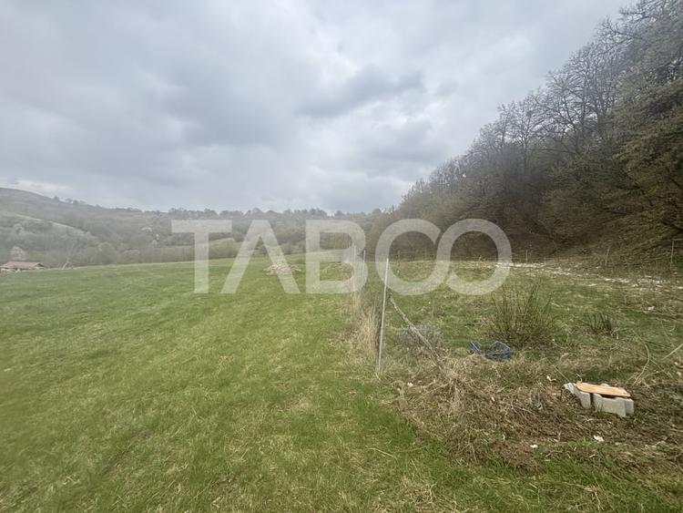 Teren agricol extravilan de 15600 mp, în Hamba