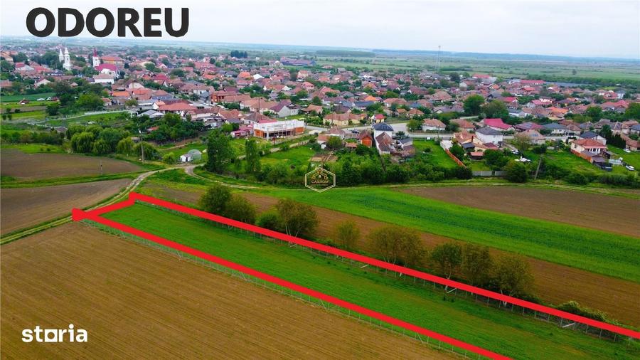 Teren de 3600 mp, în Burdea