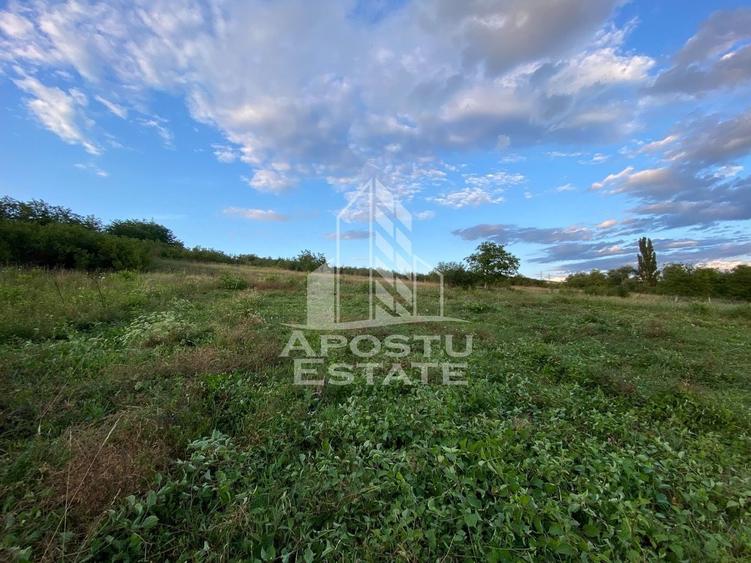 Teren Construcții intravilan de 1357 mp, în Nord