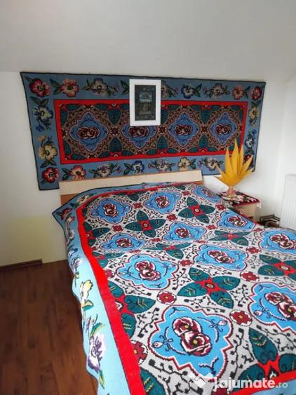 Vila 7 camere, 200 mp, zona Maneciu Pamanteni - 17