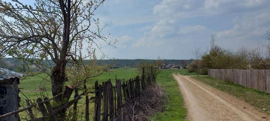 Teren de 3100 mp, în Axintele