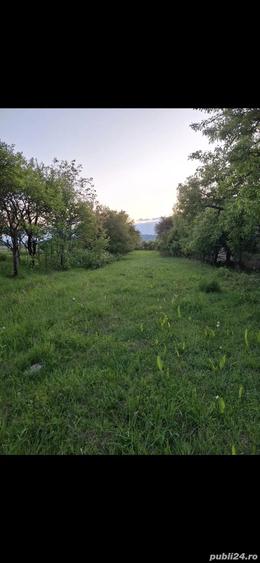 Teren de 1236 mp, în Crizbav