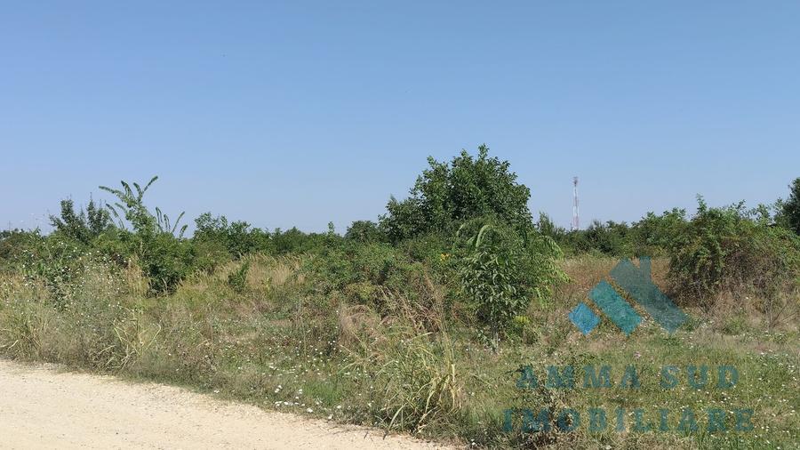 Teren Construcții intravilan de 1000 mp, în Popești-Leordeni