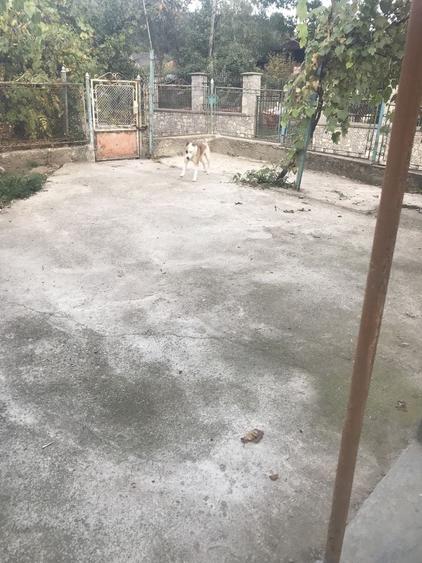 Casă cu 1 camere cu Teren 100 Mp în Central
