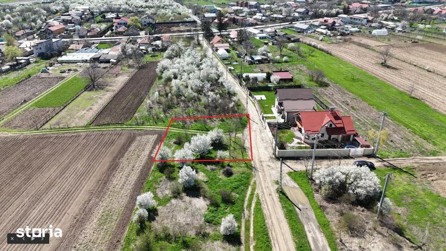Tartasesti, lot 801 mp! - 9