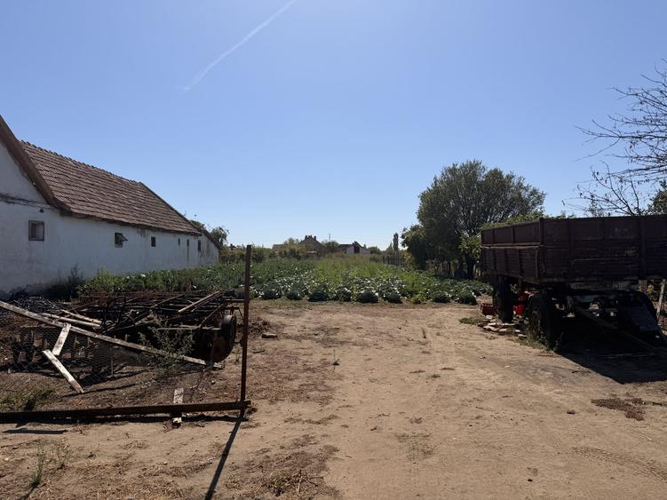 Teren Construcții intravilan de 1344 mp, în Lovrin
