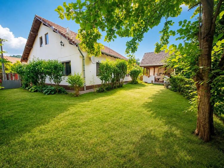 Casă individuală cu 4 camere cu Teren 6642 Mp în Pianu de Sus