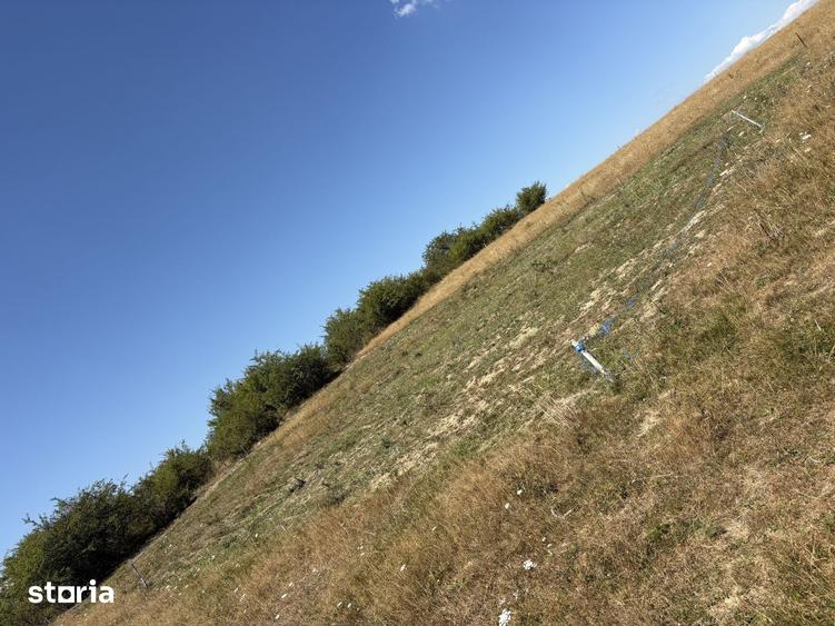 Teren de 500 mp, în Central