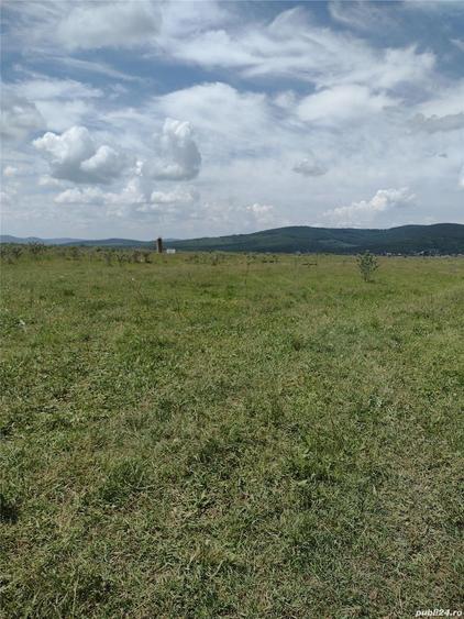 Teren de 50000 mp, în Jelna