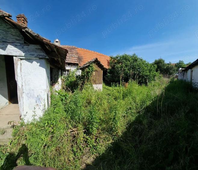 Liubcova - casa cu teren , 500mp !!! - 2