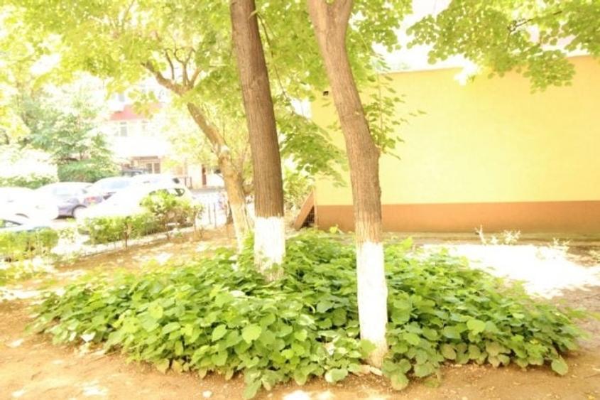 Apartament cu 2 camere decomandat, mobilat în Dorobanți