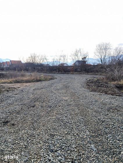 Teren de 500 mp, în Central