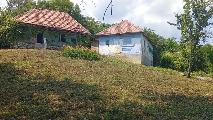 Casă individuală cu 5 camere cu Teren 9515 Mp în Șerbănești (Sălătrucel)