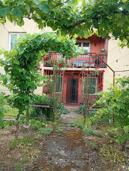Casă cu Teren 11000 Mp în Sălișca