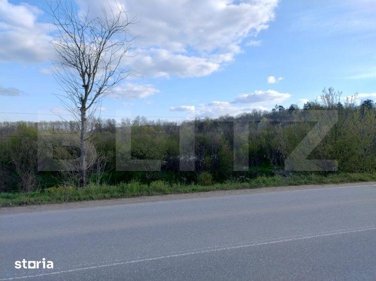 Teren de 99930 mp, în Breasta