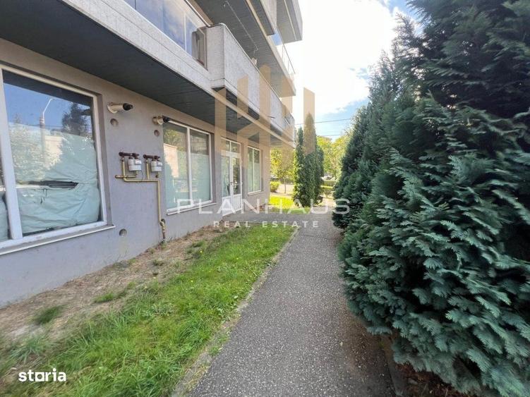 Spațiu comercial, de 120 mp, în Vasile Alecsandri