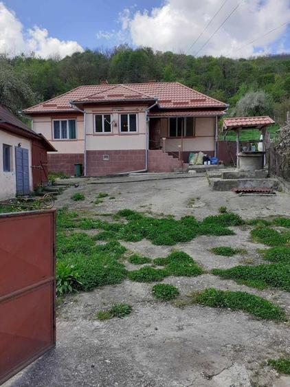 Casă cu 3 camere în Vad
