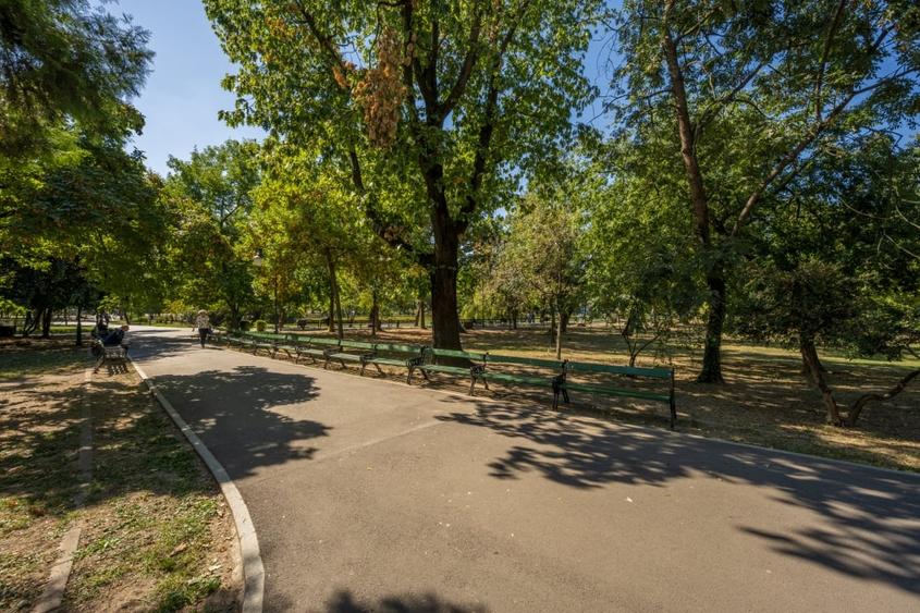 Garsonieră semidecomandată, mobilată în Cișmigiu