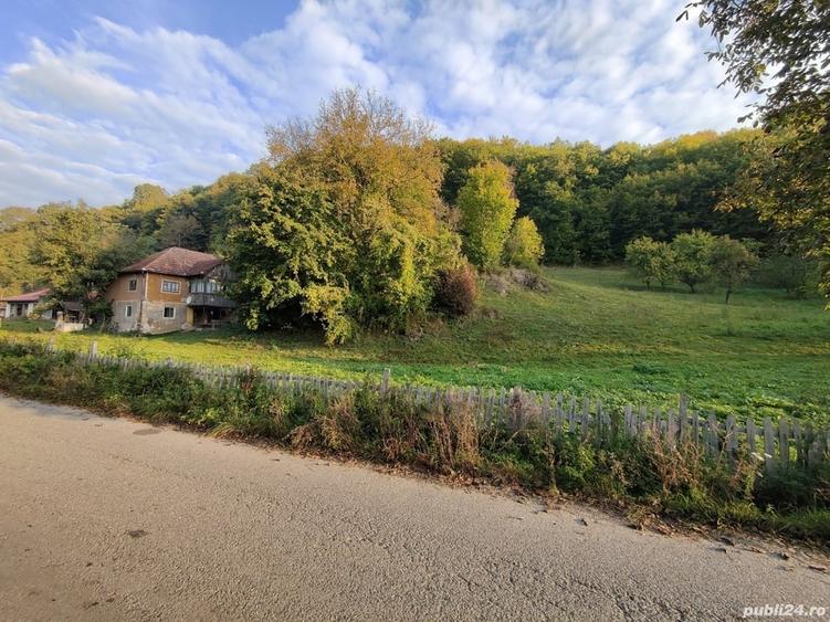 Casă cu 4 camere cu Teren 7000 Mp în Almașu Mare