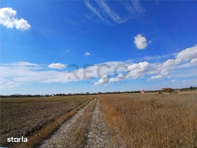 RECO Teren intravilan Tileagd 577 MP - 9