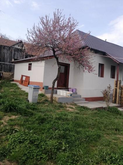 Casă cu 3 camere cu Teren 900 Mp în Sânmihaiu Almașului
